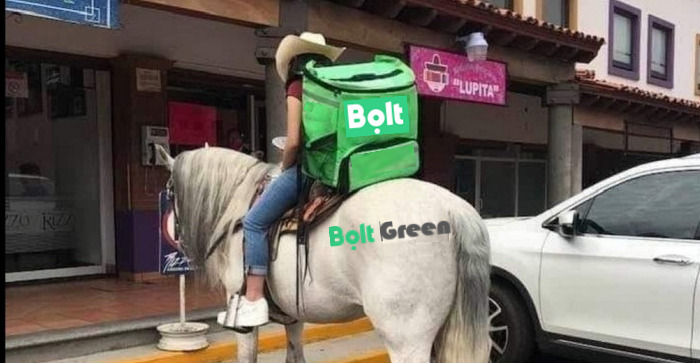 Bolt Green