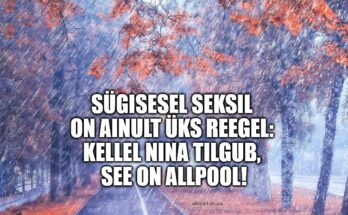 Sügisese seksi 1 reegel